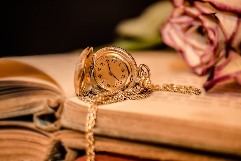 Time Travel Device